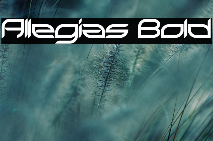 Allegias Bold Example 1
