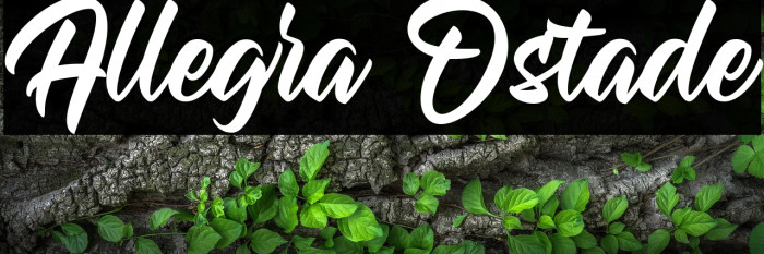 Allegra Ostade Example 1