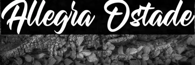 Allegra Ostade Font examples