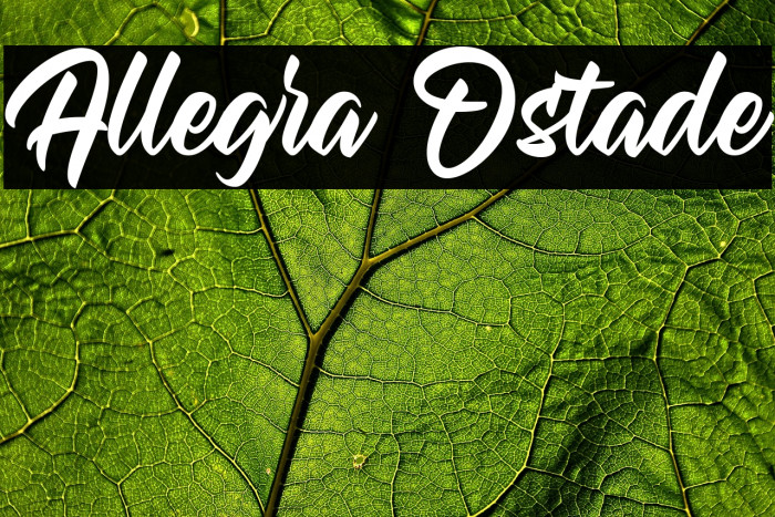 Allegra Ostade Example 2