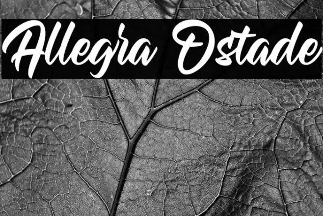 Allegra Ostade Font examples