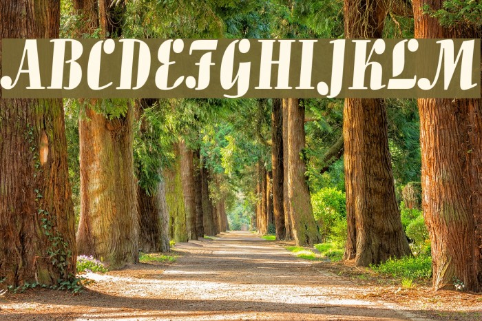 Allegro BT Example 1