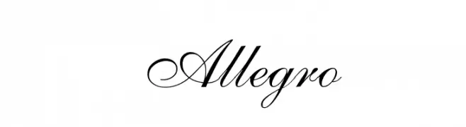 Allegro  免费字体下载
