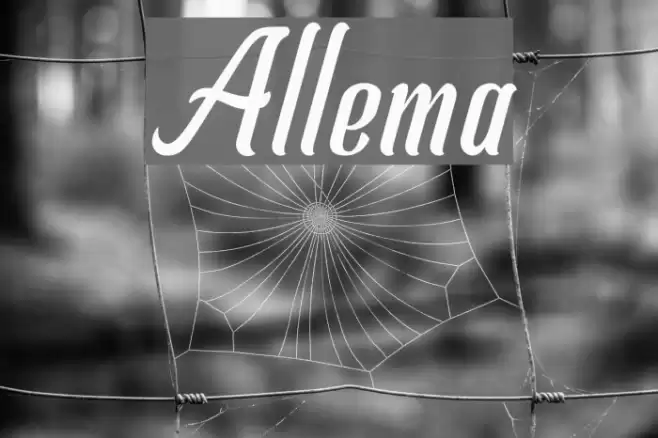 Allema Font examples