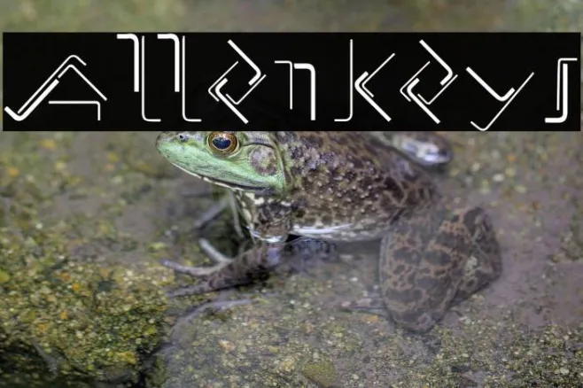 AllenKeys Example 3
