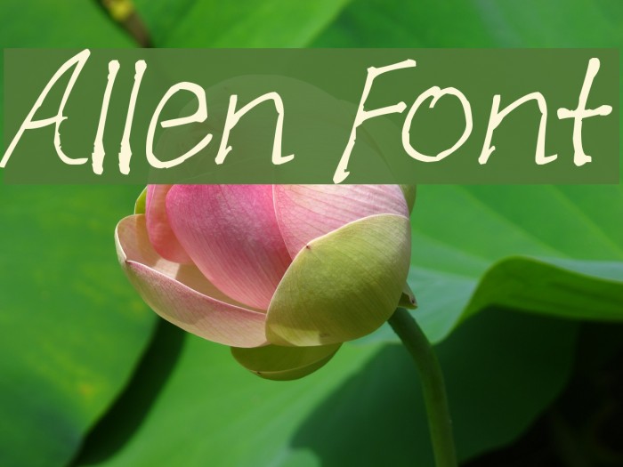 Allen Font examples