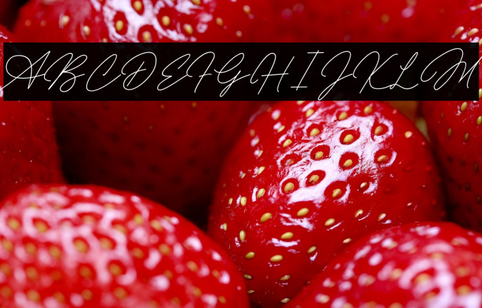 Allena Signature Example 2