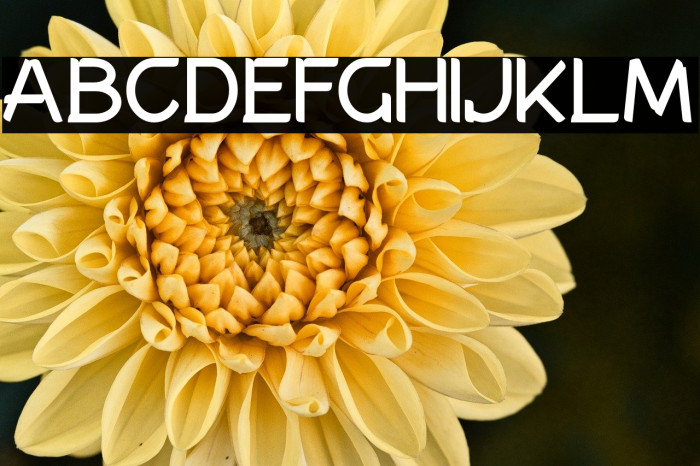 AllenatoreRegular Example 1