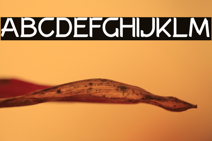 AllenatoreRegular Example 2