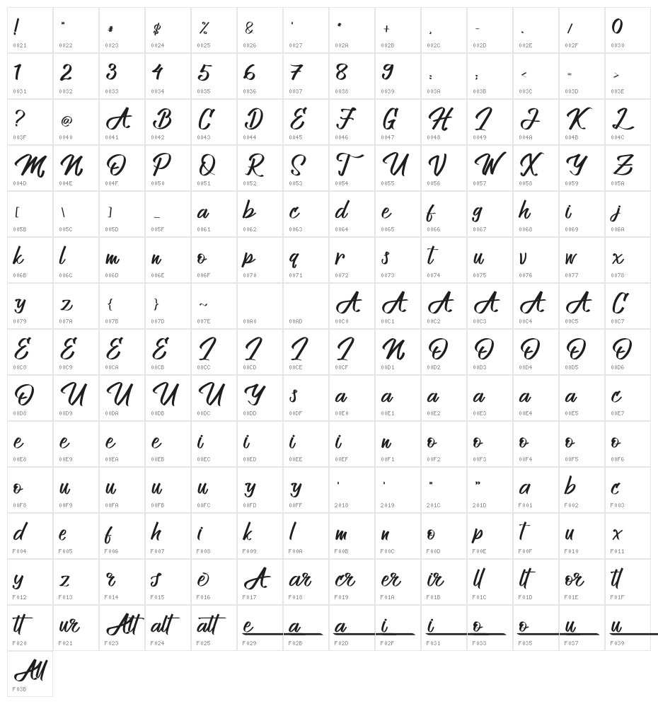 Allenattore Character Map