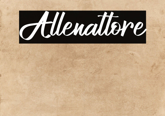 Allenattore Example 1
