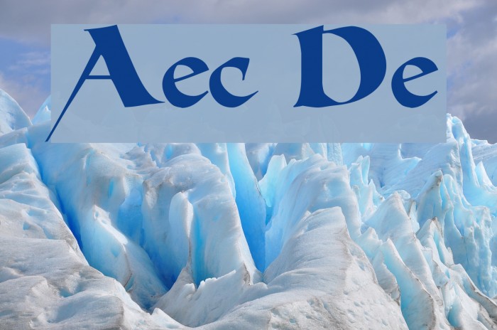 Allencon Demo Polices examples