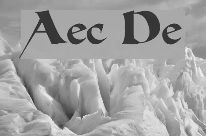 Allencon Demo Polices examples