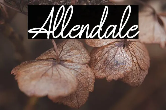 Allendale Example 1