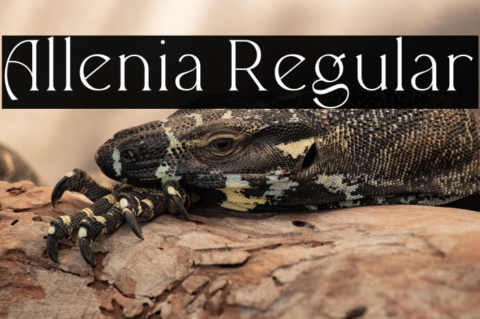 Allenia Regular Example 2