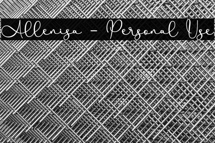 Allenisa - Personal Use Example 2