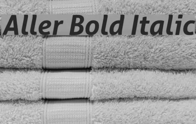 Aller Bold Italic Font examples