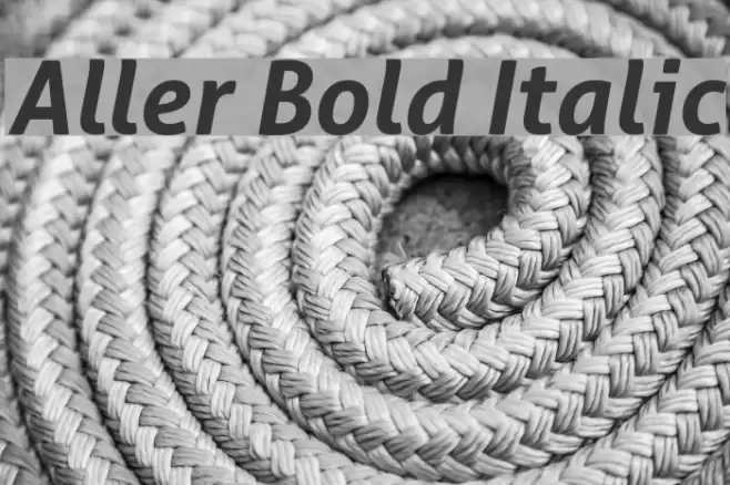 Aller Bold Italic Font examples