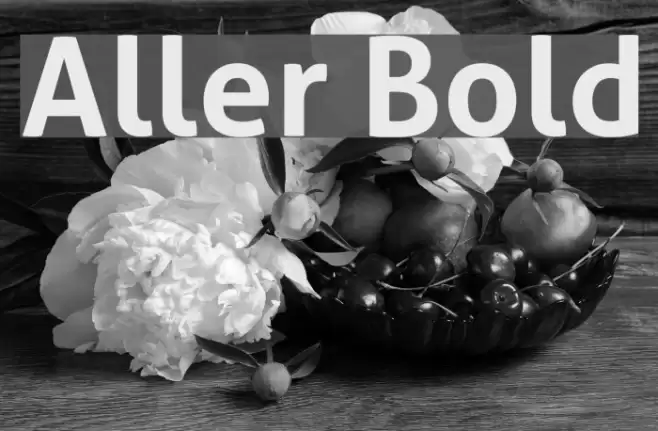 Aller Bold Font examples