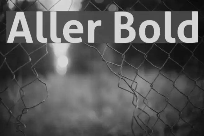 Aller Bold Font examples