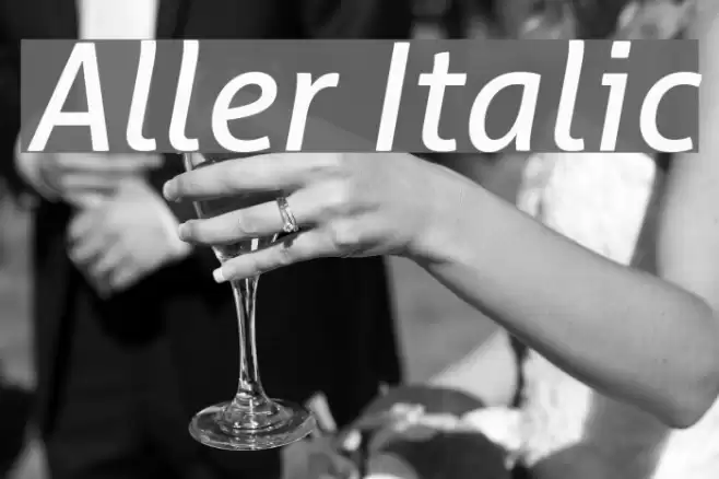 Aller Italic  examples