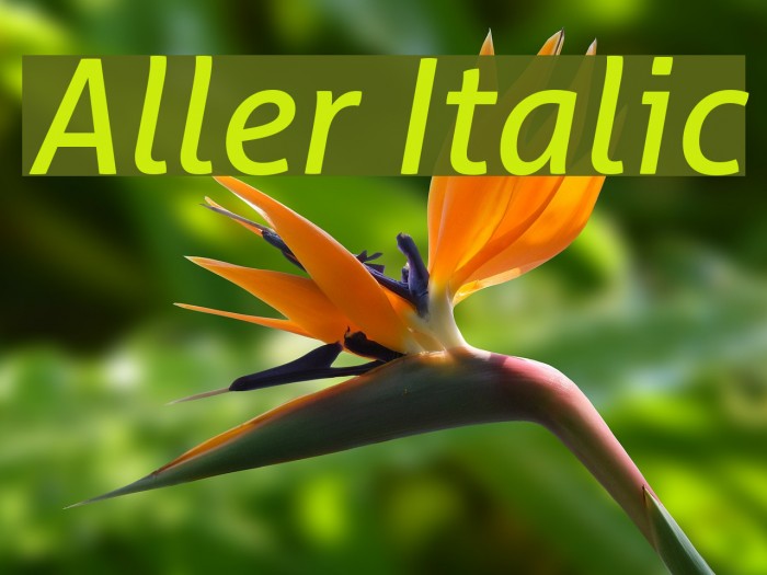 Aller Italic Font examples