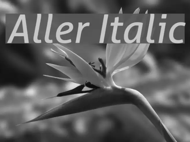 Aller Italic  examples