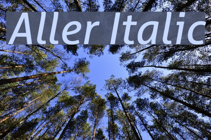 Aller Italic Font examples