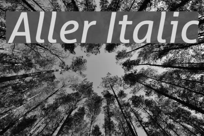 Aller Italic  examples