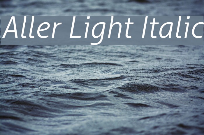 Aller Light Italic Font examples