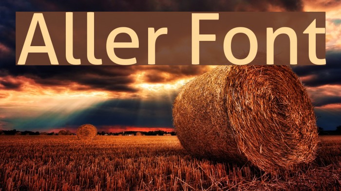 Aller Font examples
