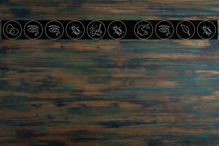 Allergen Outline Font examples