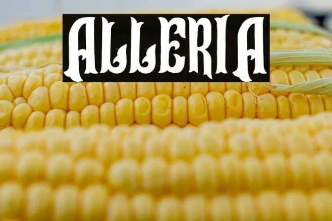 Alleria Example 2
