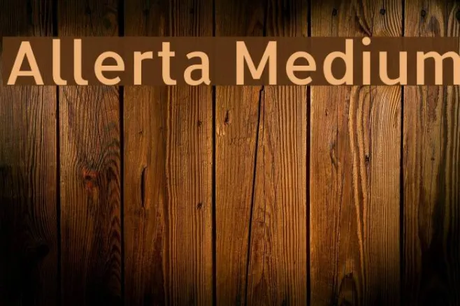 Allerta Medium Example 1