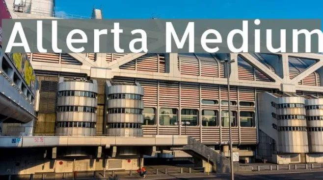 Allerta Medium Example 2