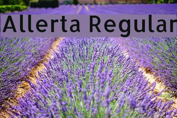Allerta Regular Font examples