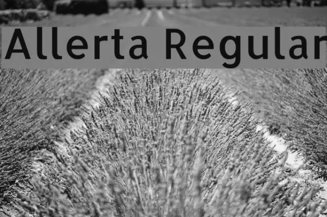 Allerta Regular Font examples