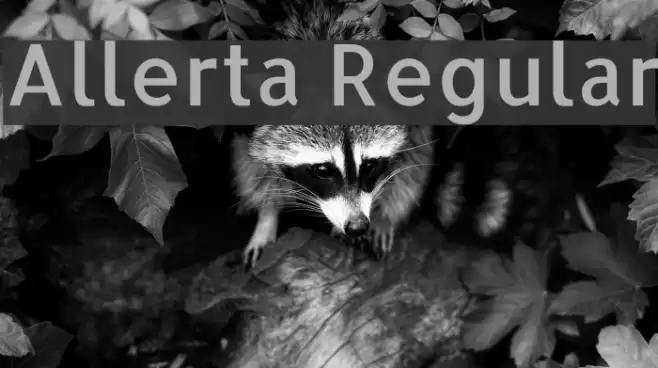 Allerta Regular Font examples