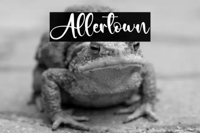 Allertown Font examples
