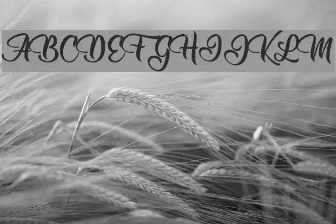 Allessa Personal Use  Font examples