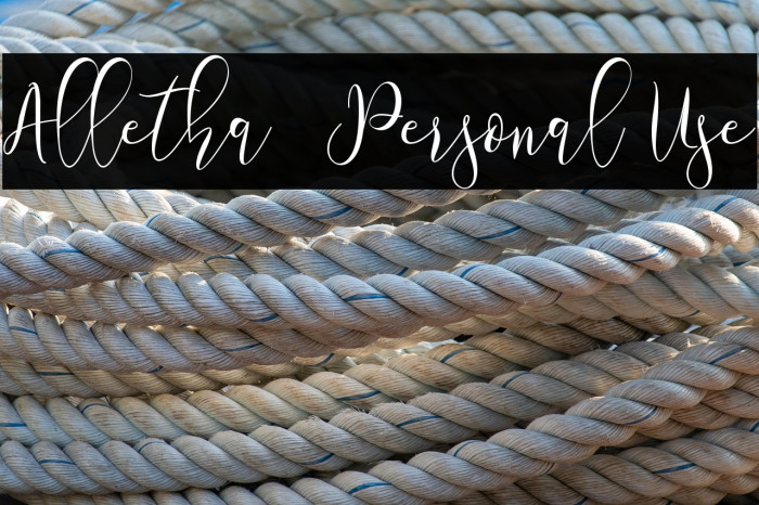 Alletha - Personal Use Example 2