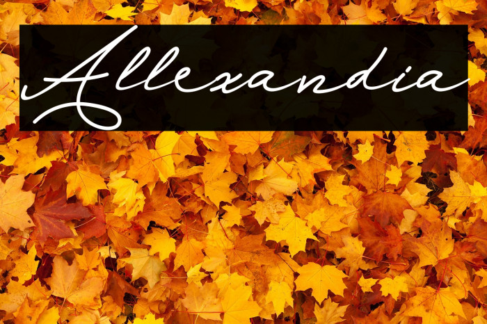 Allexandia Font examples