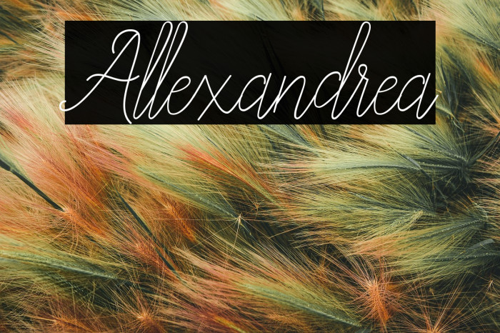 Allexandrea Example 2