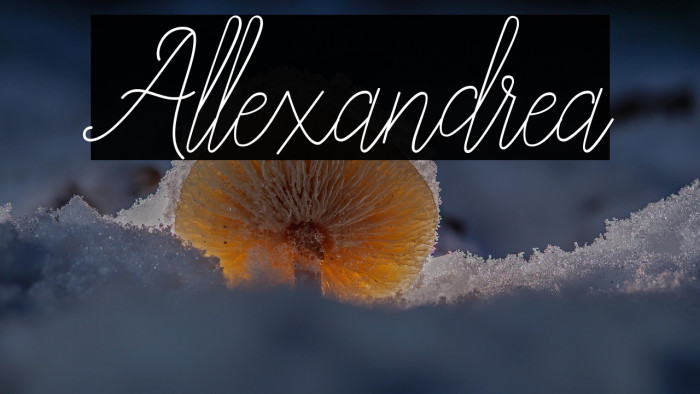 Allexandrea Example 3