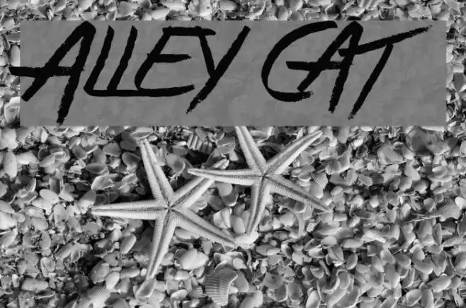 Alley Cat Font examples