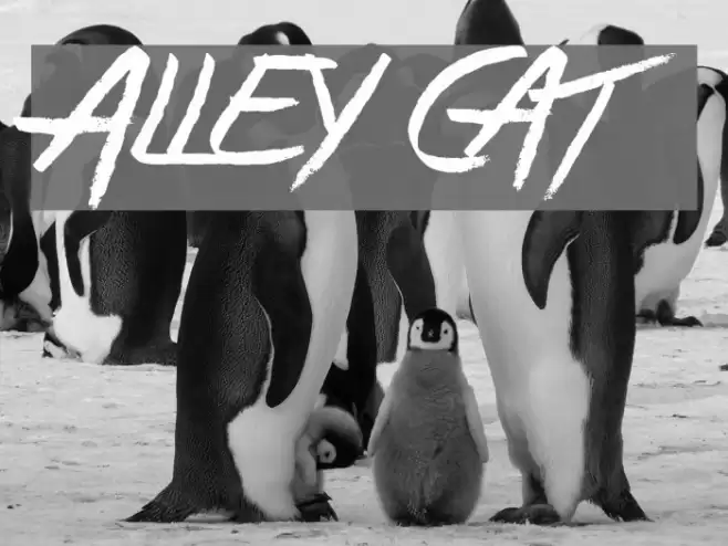 Alley Cat Font examples