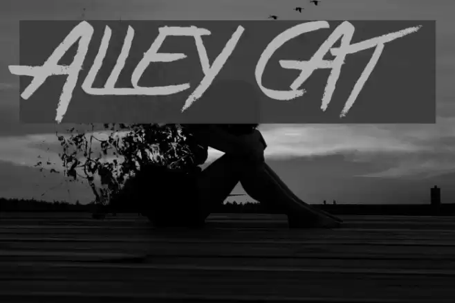 Alley Cat Font examples