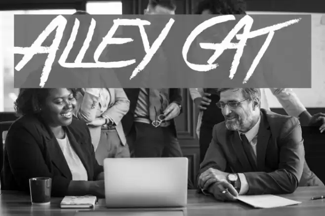 Alley Cat Font examples