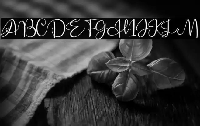 Alleysha Font examples