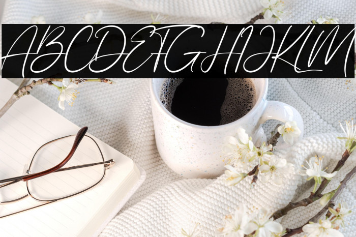 Allezia Sttacy Example 3